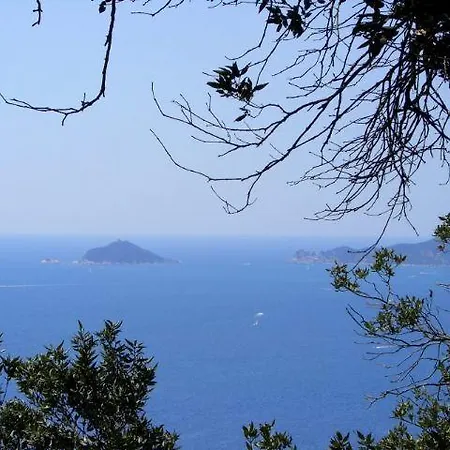 4 * 马格拉新堡